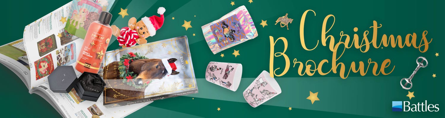 Christmas banner